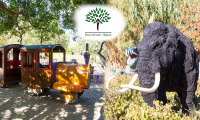 Dealsafari